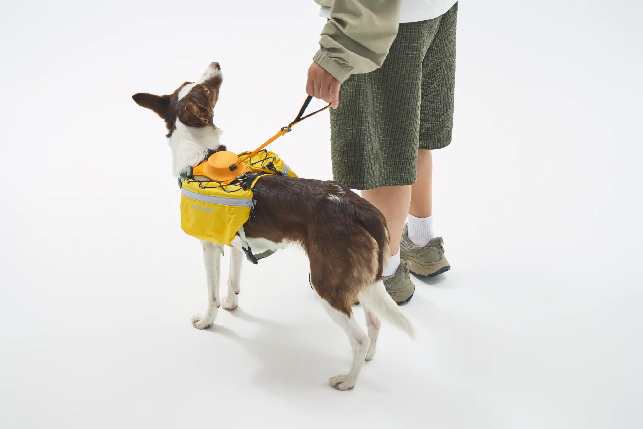 TAILHIGH Hybrid Harness + Backpack Fitting